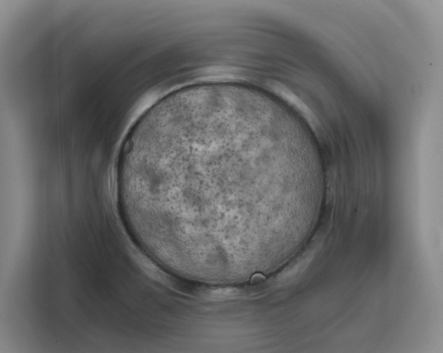 X0000111151467200907141332