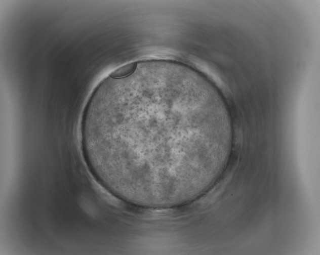 X0000111151471200907141331