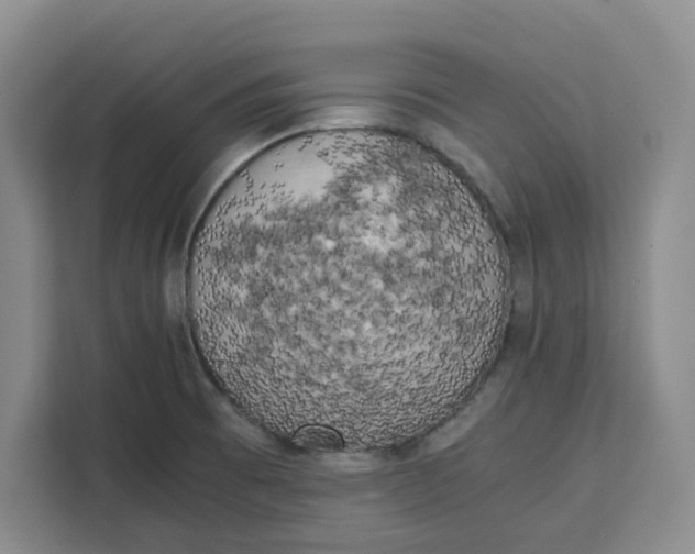 X0000111151473200907141331