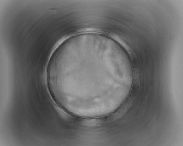 X0000111151474200907141331