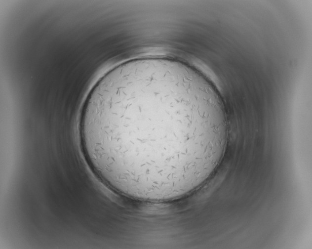 X0000111151475200907141331