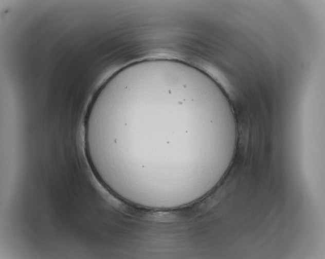 X0000111151476200907141331