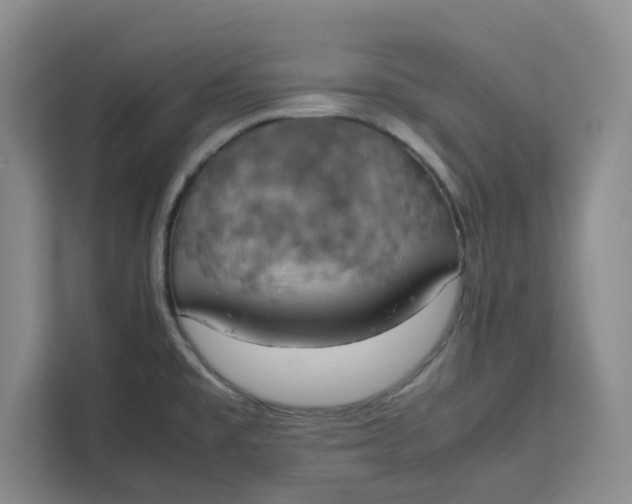 X0000111151477200907141331