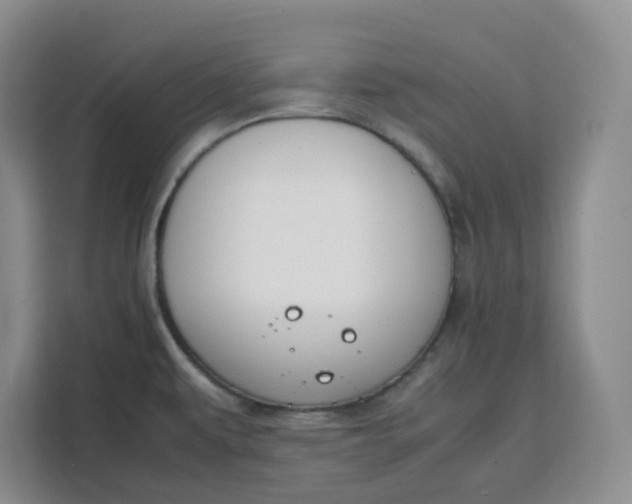 X0000111151479200907141331