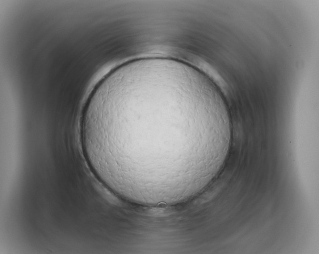 X0000111151480200907141331