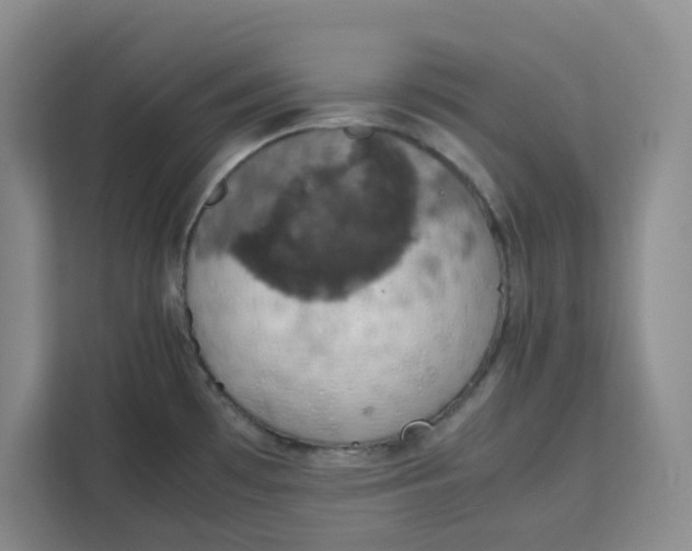 X0000111151481200907141331