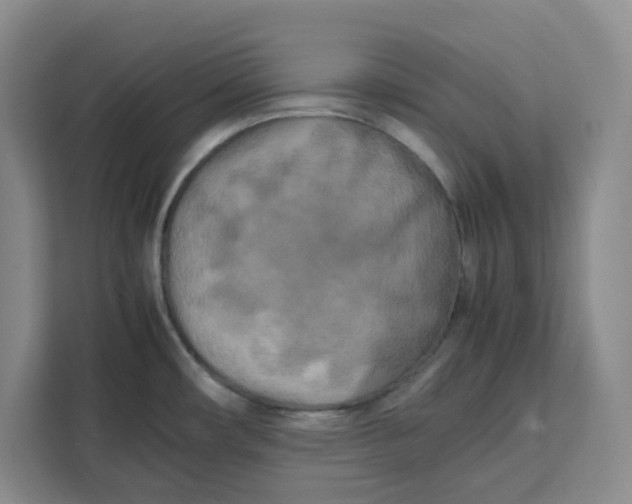 X0000111151482200907141331