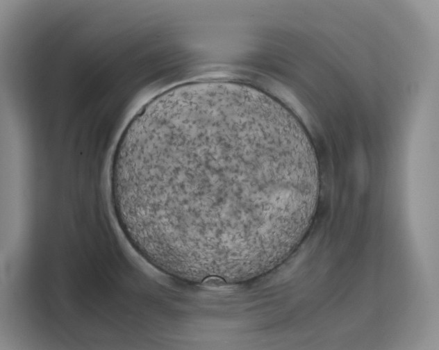 X0000111151483200907141331