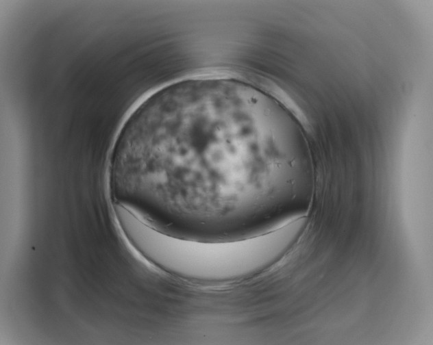 X0000111151484200907141331