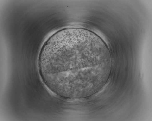 X0000111151485200907141331