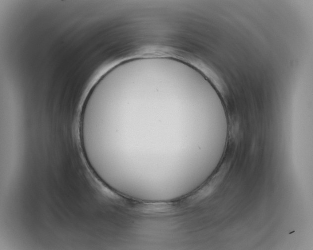 X0000111151486200907141331