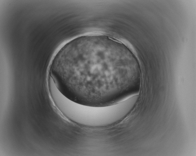 X0000111151488200907141331