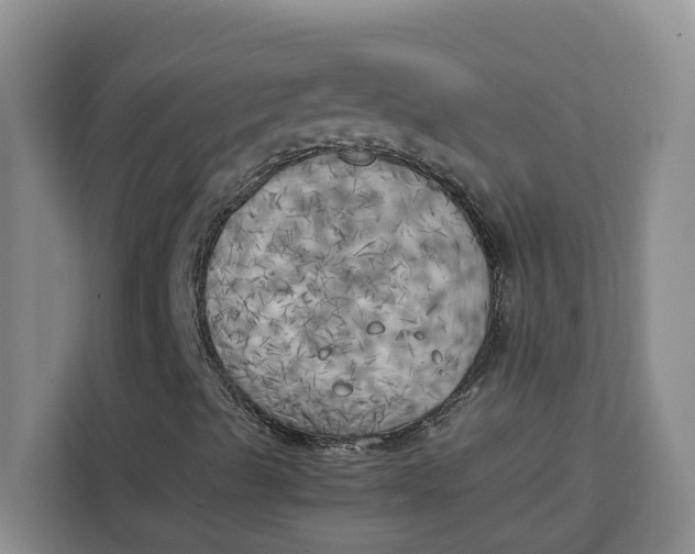 X0000111151489200907141331