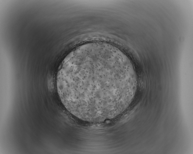 X0000111151490200907141331