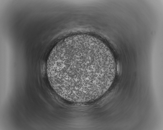 X0000111151492200907141331