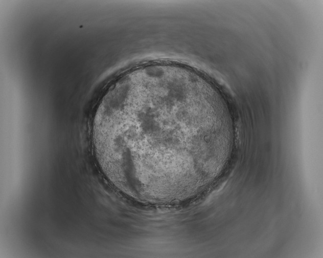 X0000111151494200907141331