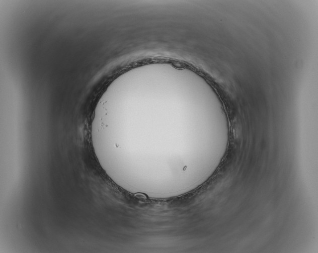 X0000111151495200907141331