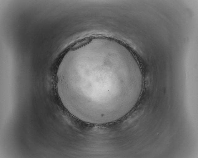 X0000111151496200907141331