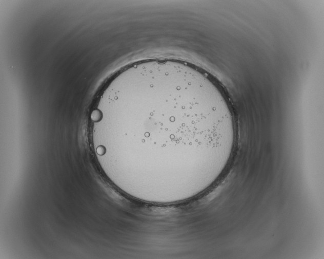 X0000111151498200907141331