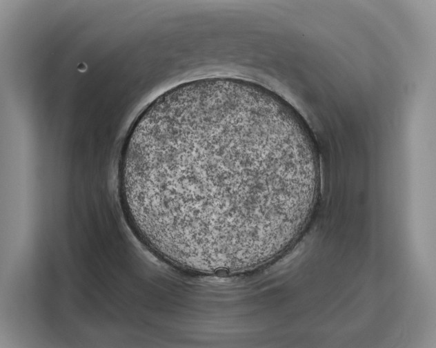 X0000111151500200907141331