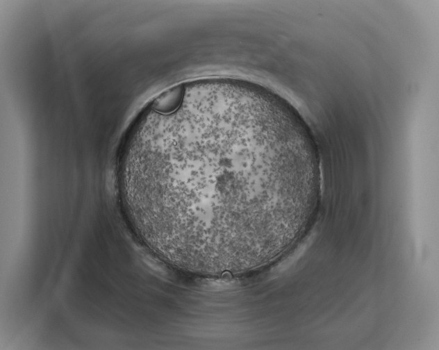X0000111151501200907141331