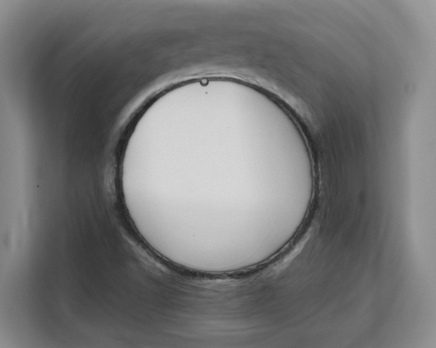 X0000111151502200907141331