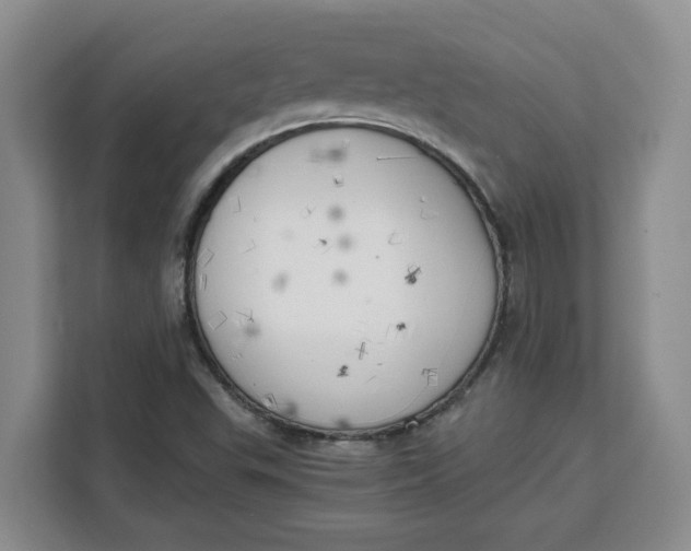 X0000111151503200907141331