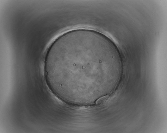 X0000111151504200907141331