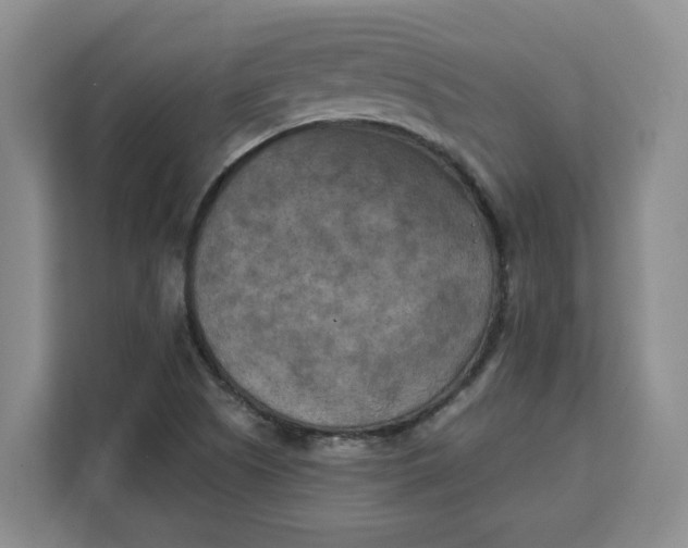 X0000111151505200907141331