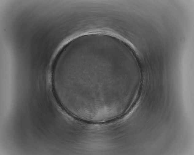 X0000111151506200907141331
