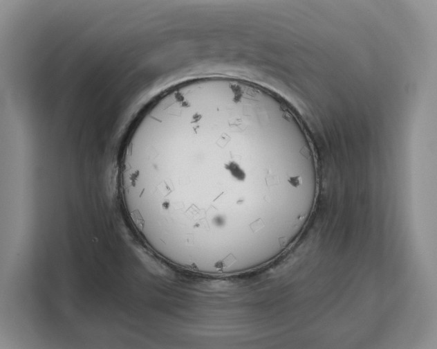 X0000111151507200907141331