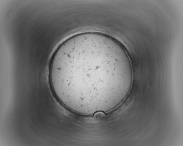 X0000111151508200907141331