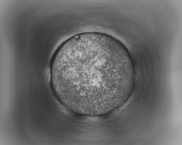 X0000111151509200907141331