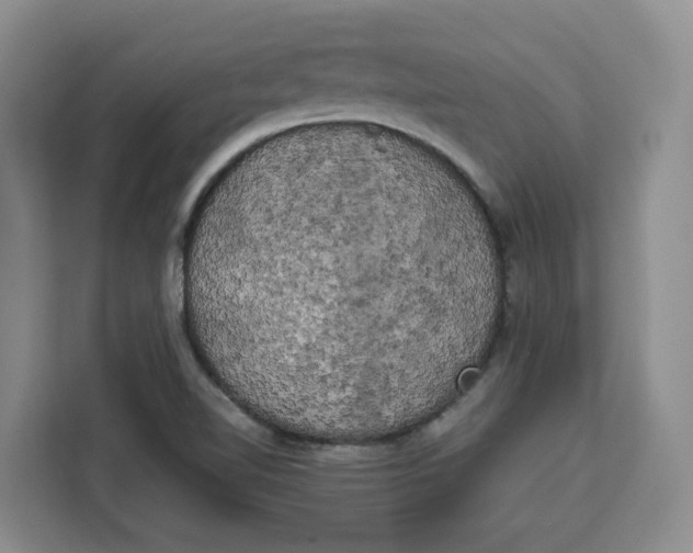 X0000111151510200907141331