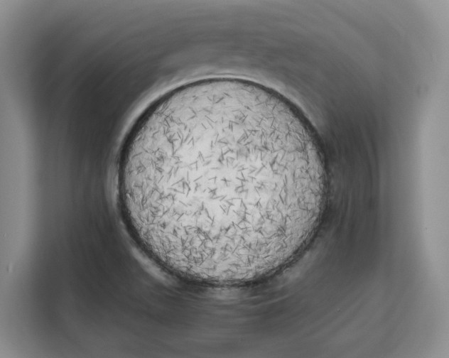 X0000111151511200907141331