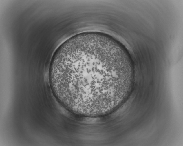 X0000111151513200907141331