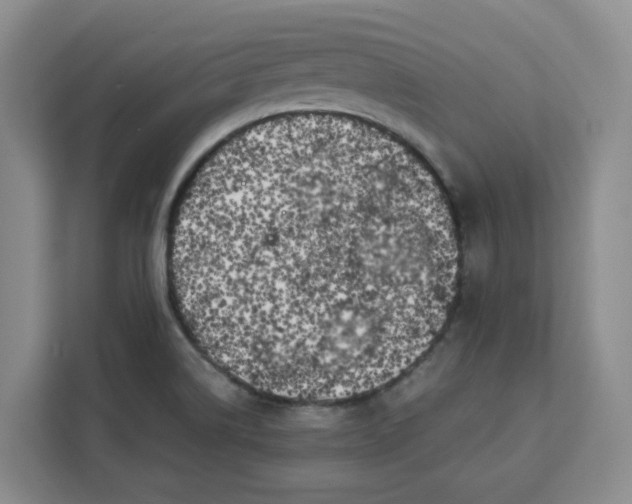 X0000111151514200907141331
