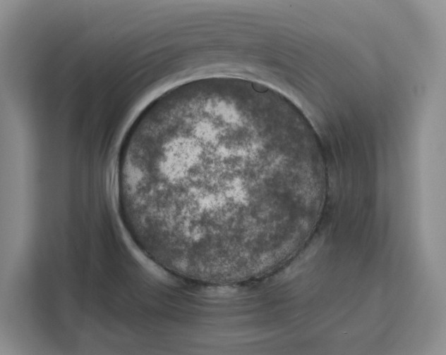 X0000111151515200907141331