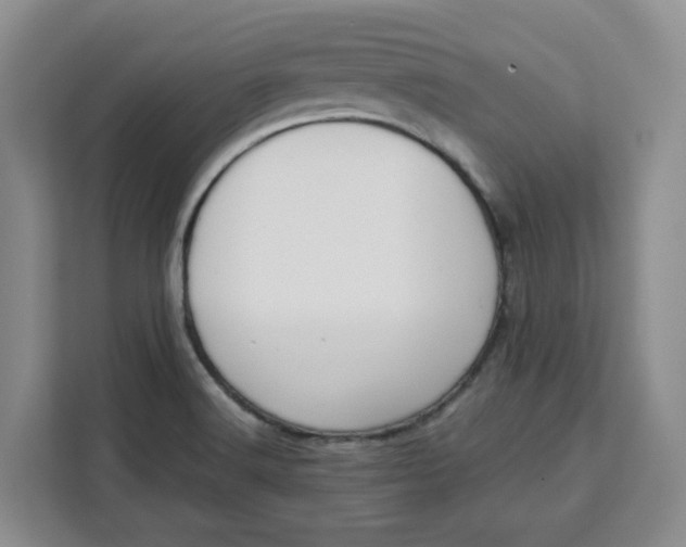 X0000111151516200907141331