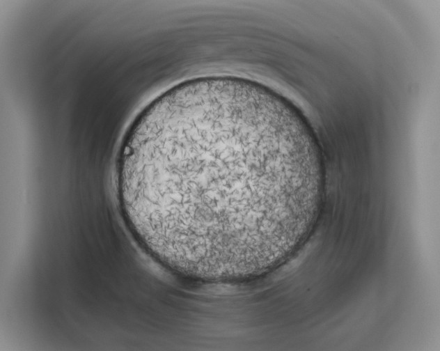 X0000111151517200907141331