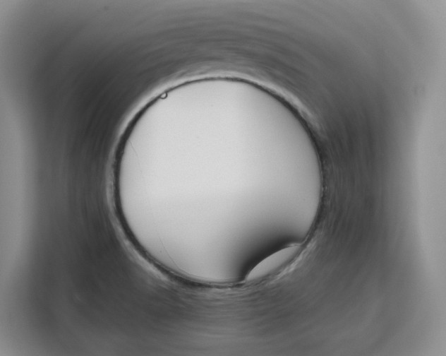 X0000111151518200907141331