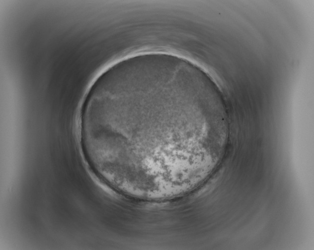 X0000111151519200907141331