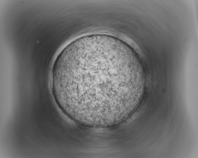 X0000111151520200907141331