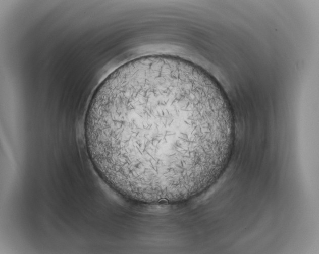 X0000111151521200907141331