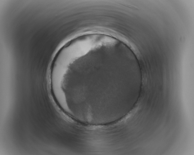 X0000111151522200907141331