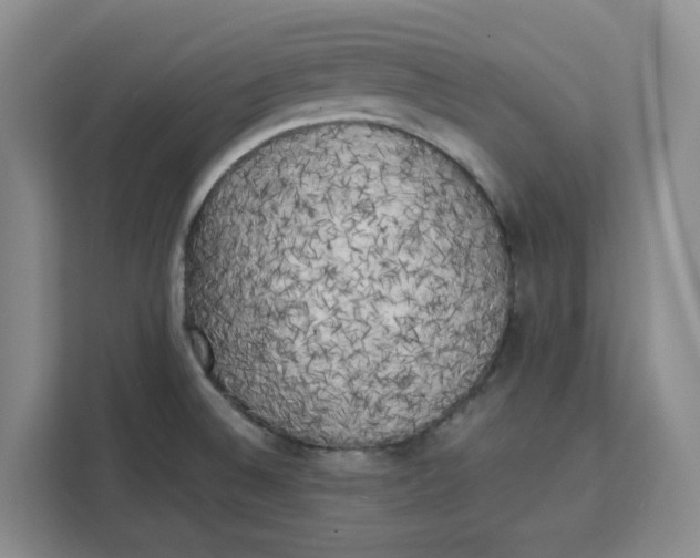 X0000111151524200907141331