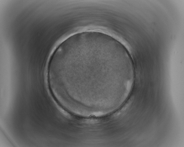 X0000111151525200907141331