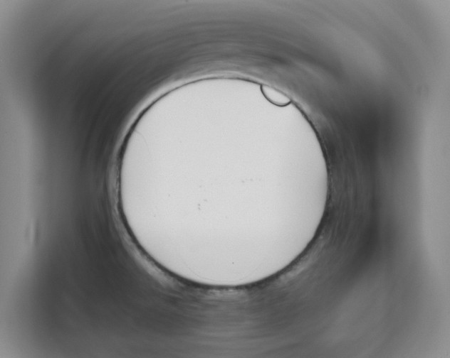 X0000111151526200907141331