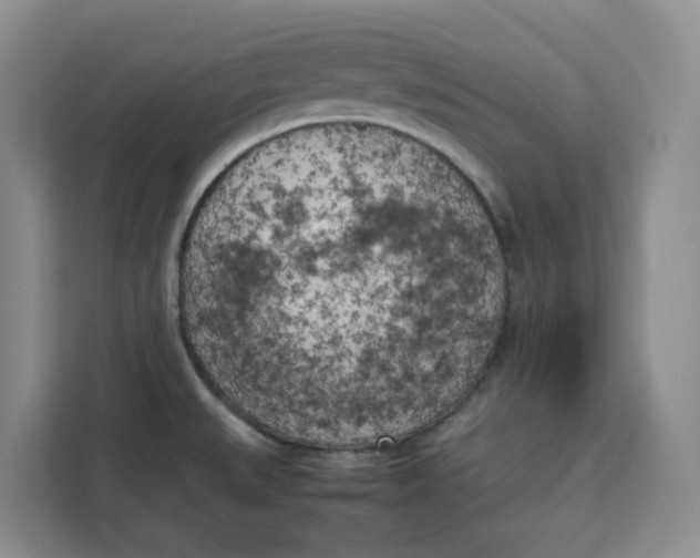 X0000111151527200907141331