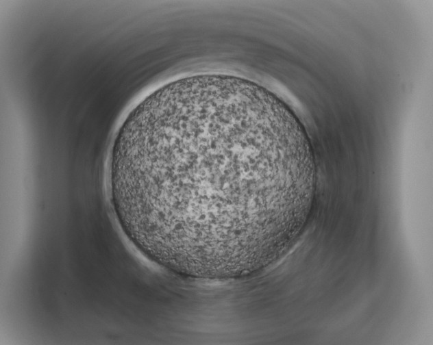X0000111151528200907141331